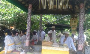 d4093b98-e8b9-4390-98d7-d443094a4747